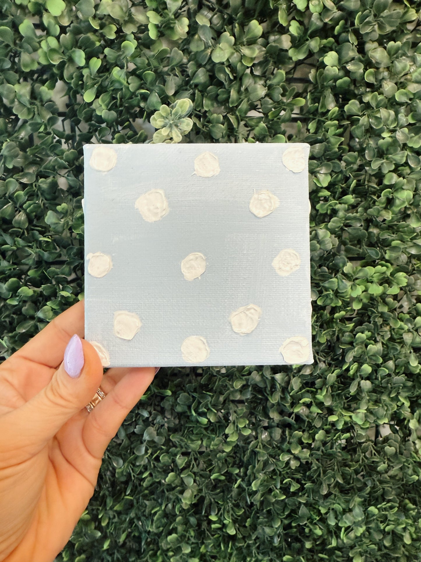 Blue Pearly Dot- 4x4